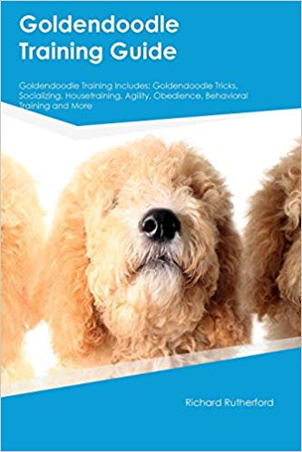 Book about training a Goldendoodle
